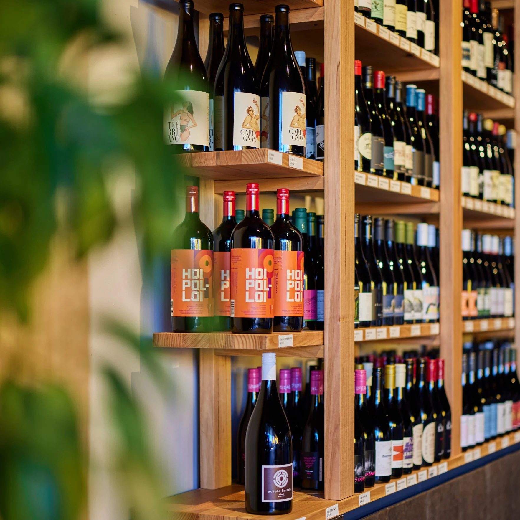 Elevate Your Local Craft Experience